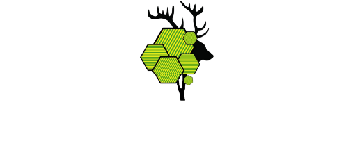 Martinez Deer